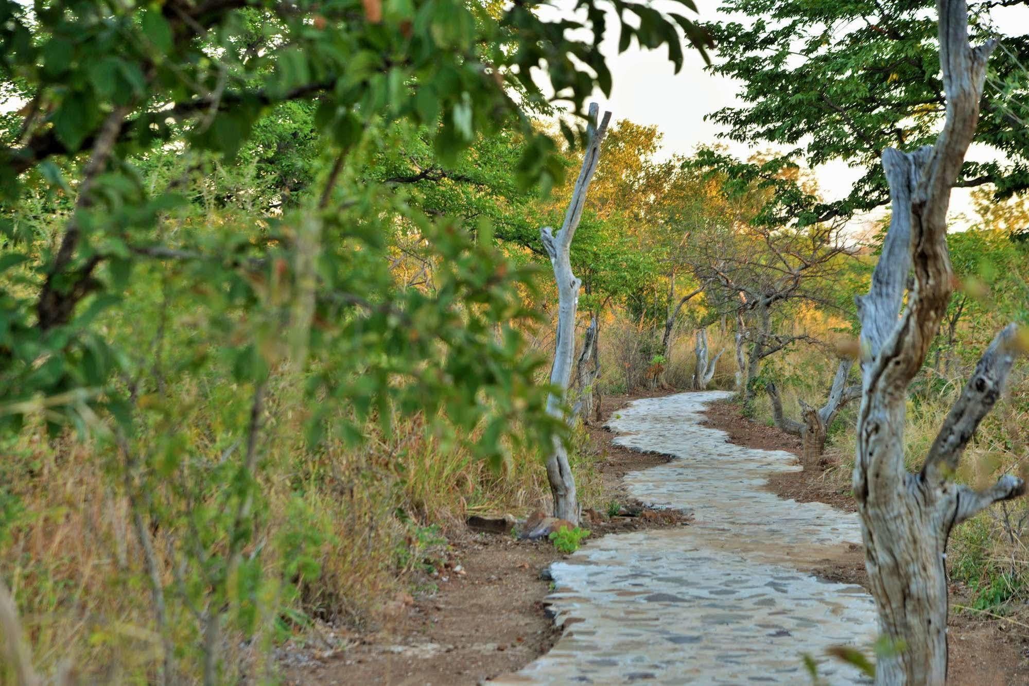 Wildtrack Safaris Eco Lodge Pandamatenga Exterior photo