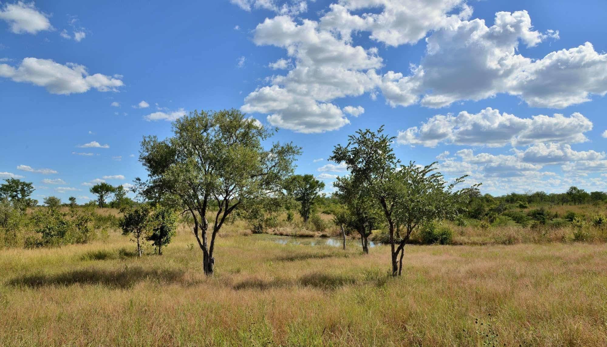 Wildtrack Safaris Eco Lodge Pandamatenga Exterior photo